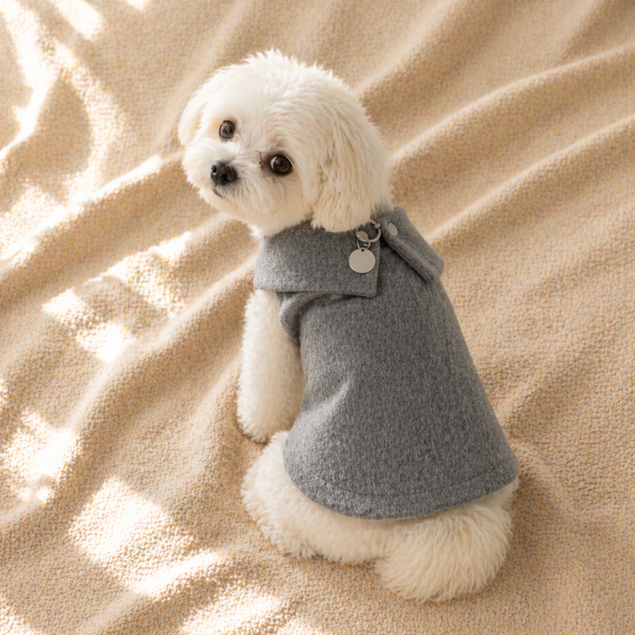 Maltese Grey Cape