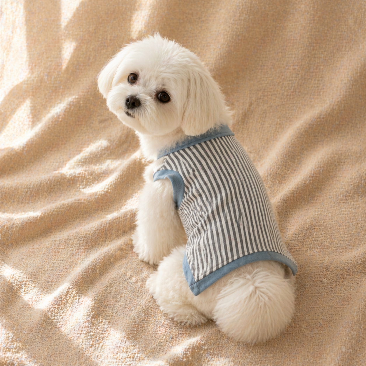 Schnauzer Striped Shirt