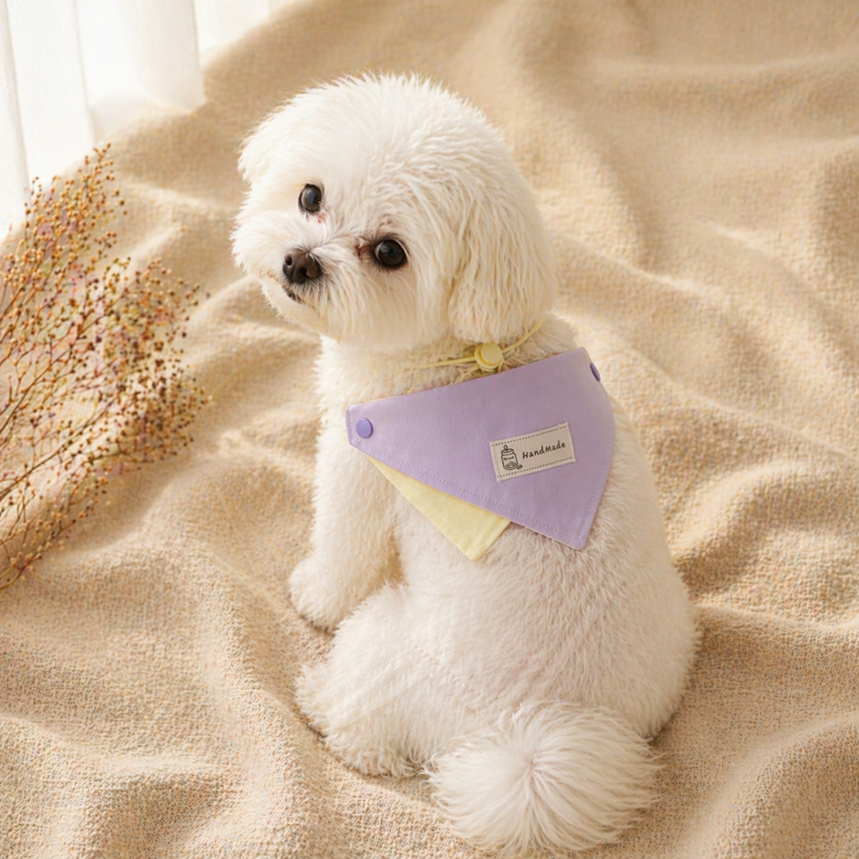 Pet Bandana