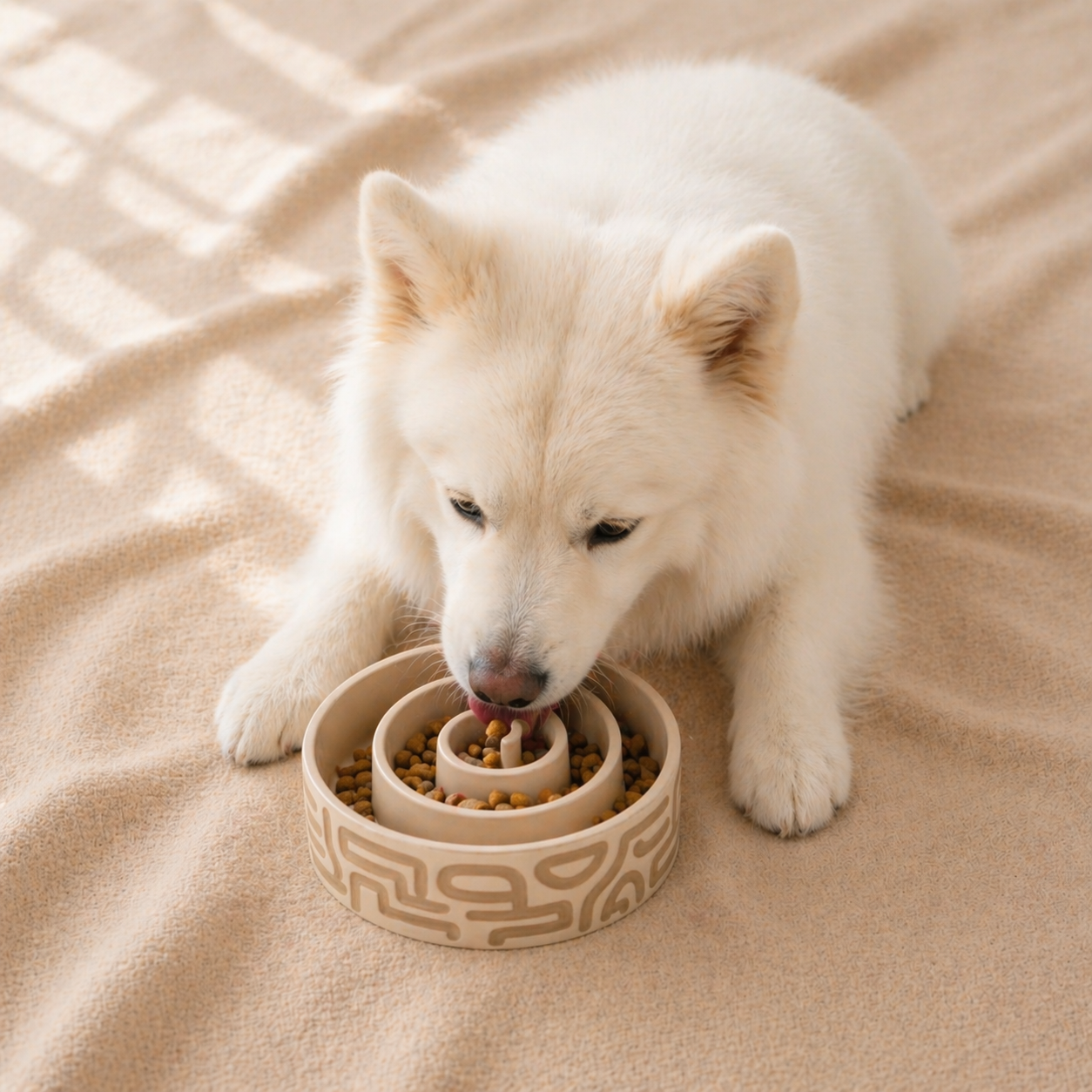 Slow Feeder Bowl 1