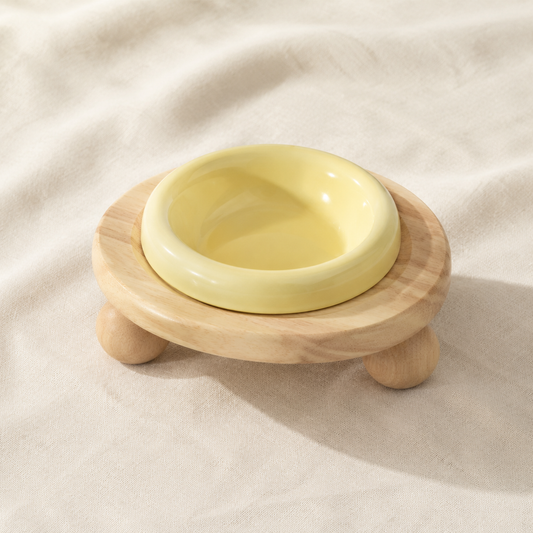 Yellow Bowl with Wooden Stand