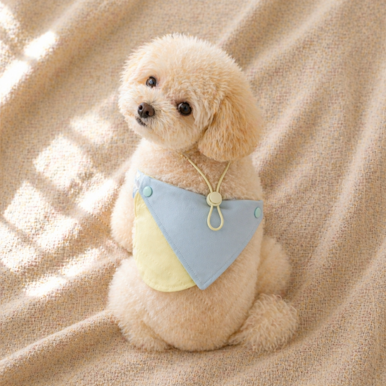 Reversible Pet Bandana