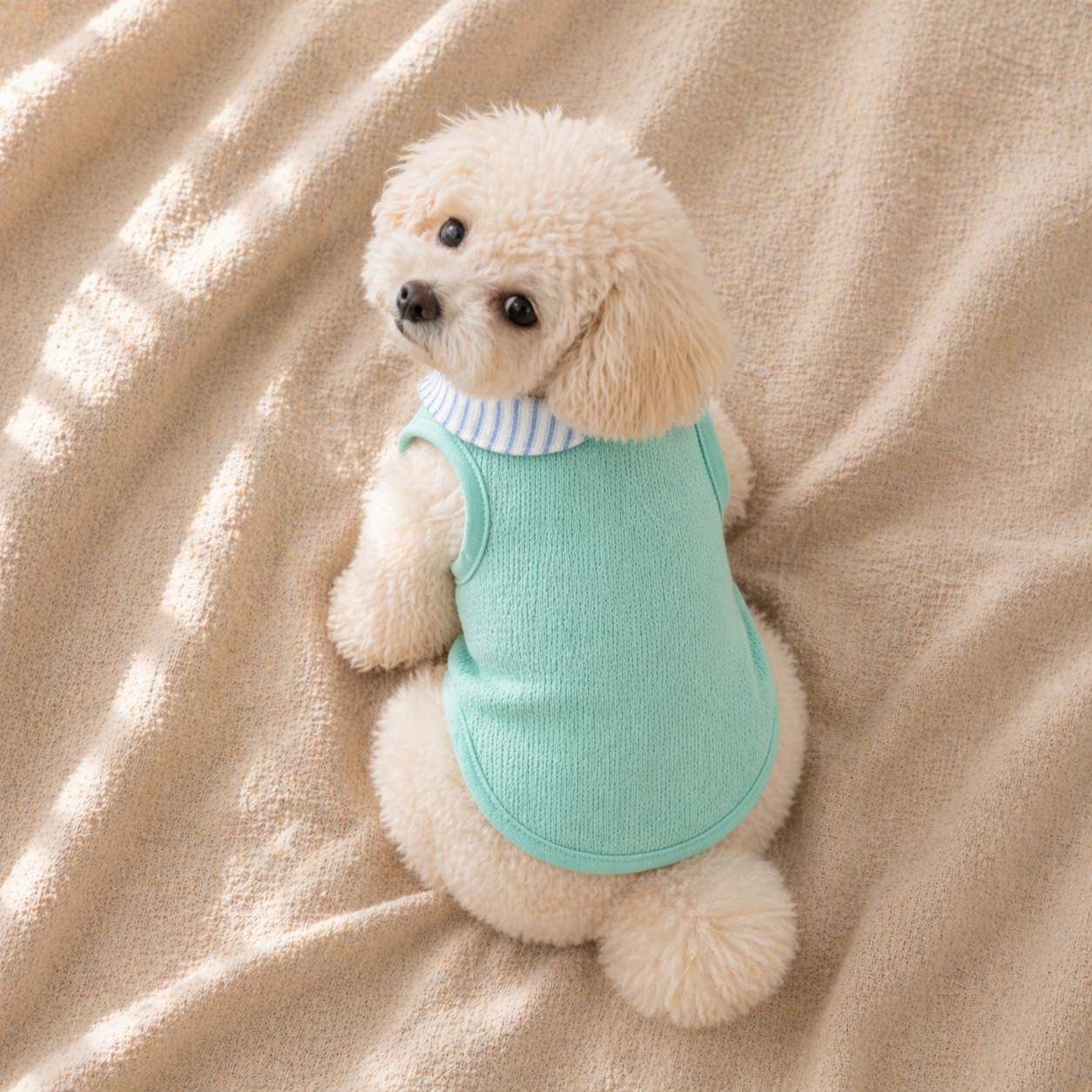 Mint Green Dog Vest
